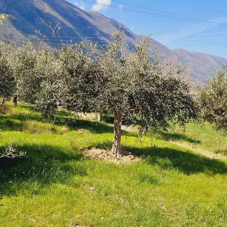 Miri's * Vlorë