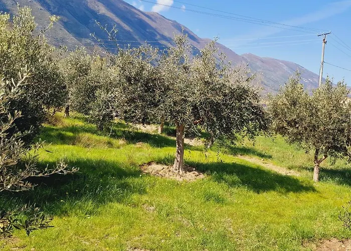 Miri's * Vlorë